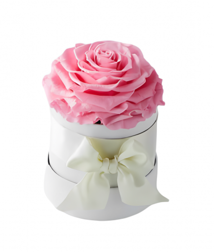 Eternal Single Rose Box - Pink